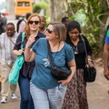 IMG 3199-2