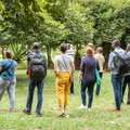 IMG 3221-2