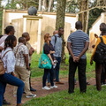 IMG 3237-2