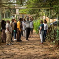 IMG 3271-2