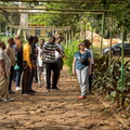 IMG 3272-2